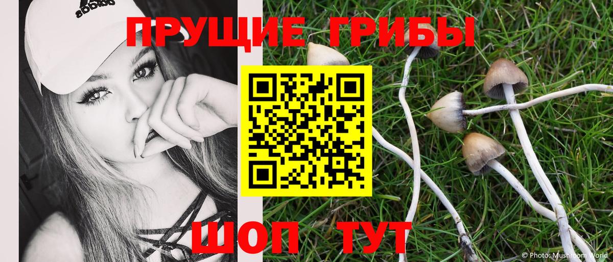 Гурьевск  Галлюциногенные грибы Psilocybe  Вход с VPN 