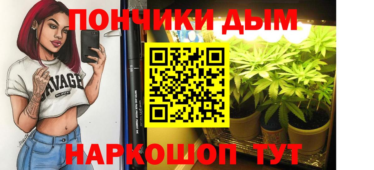 Бошки марихуана конопля Гурьевск
